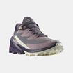 Picture of SALOMON - CROSS OVER 2 GTX W